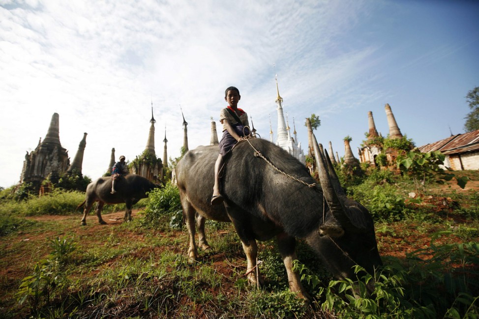 Young boys ride their water buffaloes at the Shwe Indein Pagoda near the Inle lake in Myanmar