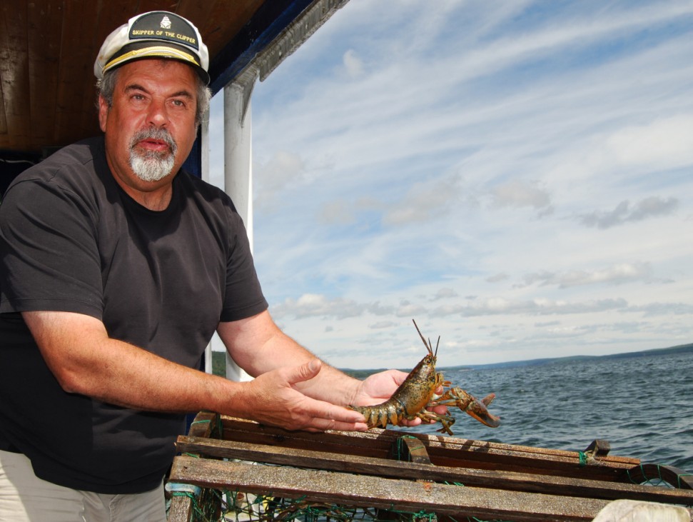 Nova Scotia tischt auf: Der kleine Hummer zwischendurch