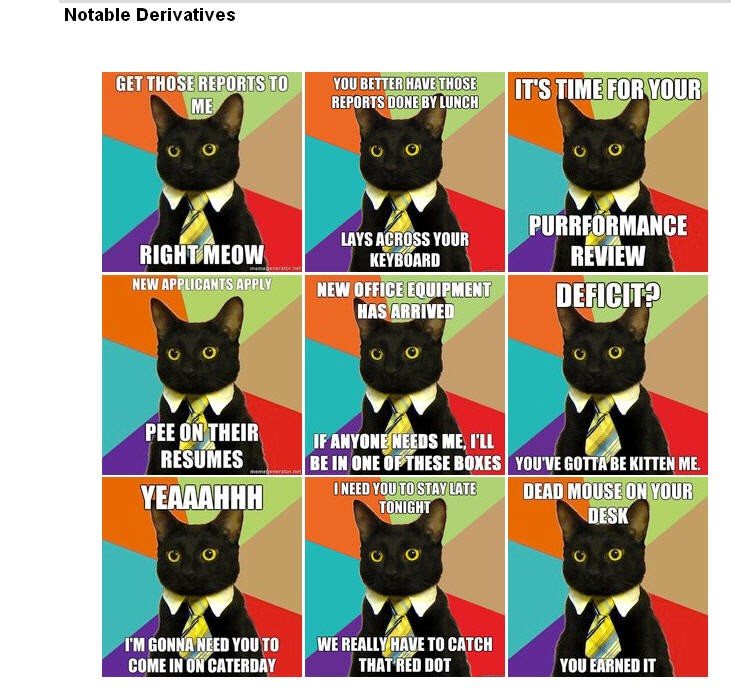 Internet-Memes 2011: Business Cat