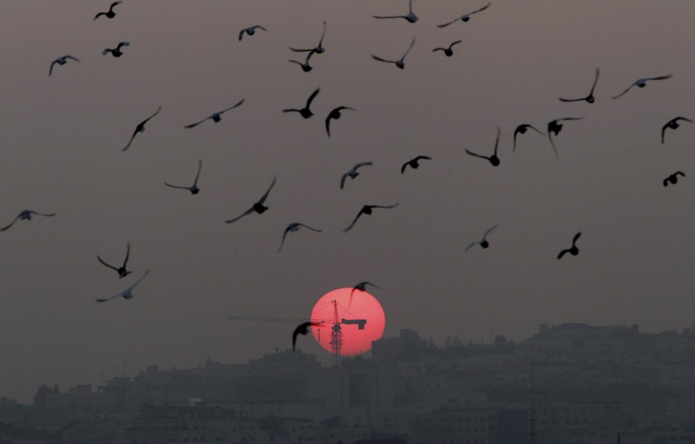 Birds fly over the sky as the sun sets on New Year's Eve in Amman