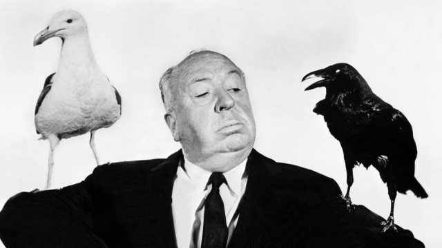 Giftige Algen an US-Westküste: Alfred Hitchcock hat nie eine Erklärung abgegeben, warum die Vögel im Film die Menschen angreifen. Das Foto zeigt den Regisseur 1963 bei den Dreharbeiten.