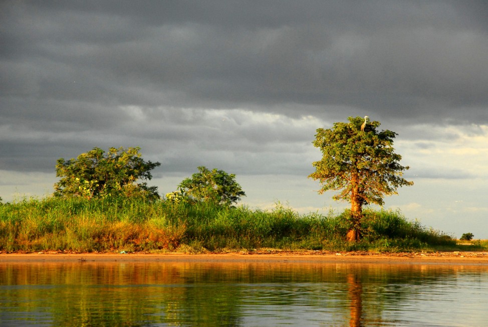 Zwischen Flamingos und Mangroven - Das Saloum-Delta im Senegal