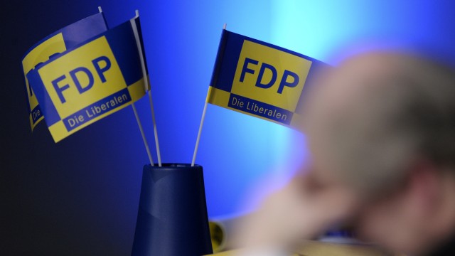 Vorschau: Dreikoenigstreffen der FDP
