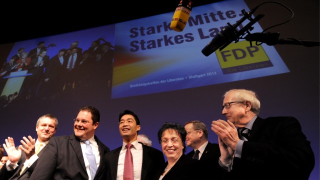 Dreikoenigstreffen der FDP
