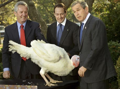 Bush, Thanksgiving,