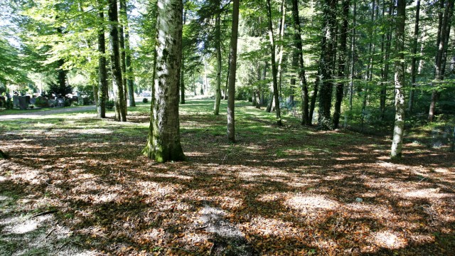 Friedwälder: Im Anschluss an die Gräberreihen des Geretsrieder Waldfriedhofs könnte eine Art Naturfriedhof entstehen, in dem Bestattungen unter Bäumen möglich werden.