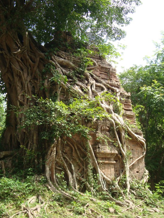 Kambodscha Tempel Khmer