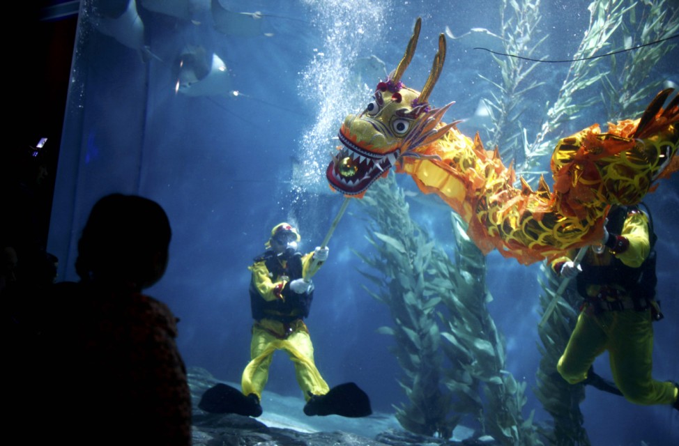 Divers perform a dragon dance during an event to celebrate the Chinese Lunar New Year at the Shanghai aquarium