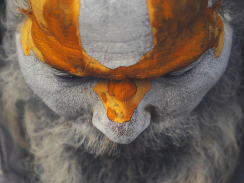 A Hindu holy man, or sadhu, with tika on his forehead is seen at the premises of Pashupatinath Temple during the Shivaratri festival in Kathmandu