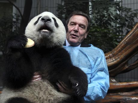 Gerhard Schröder in China;AP