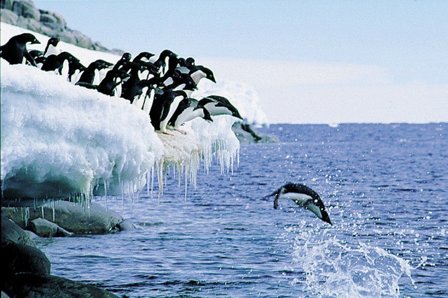 Antarktis Arktis Polarmeer Bildband