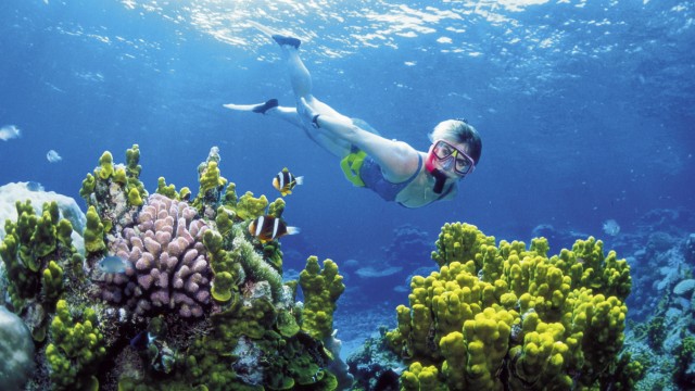 Unterwasserwelt im Netz: Die prachtvolle Unterwasserwelt des Great Barrier Reef ist eine Attraktion für Australien-Touristen.