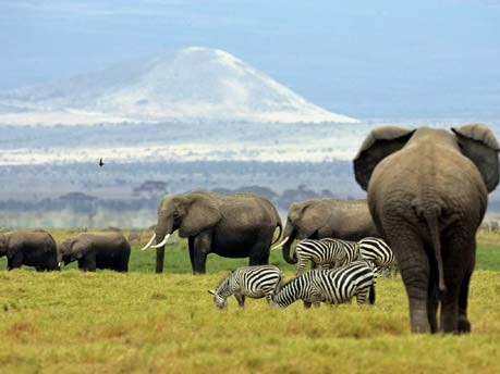 Sehenswürdigkeiten Touristen Fallen, Kilimandscharo, Reuters