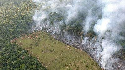 Klimaschutz in Brasilien: "Niemand holzt ab, weil er doof ist": Allein der Bundesstaat Amazonas ist viermal so groß wie Deutschland.