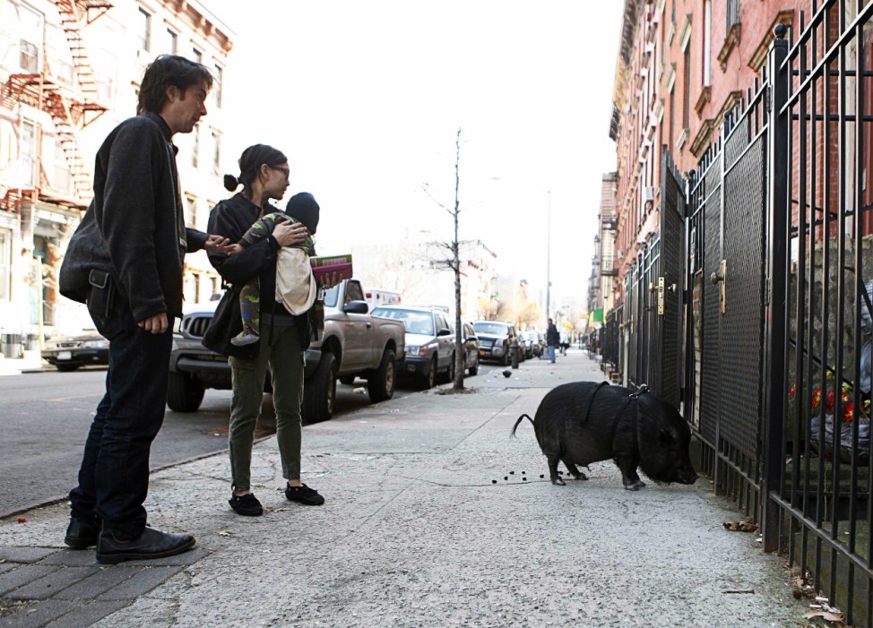 Jason Loewenstein waits to clean up after his pet pig, Emmett, while taking the animal for a walk in New York