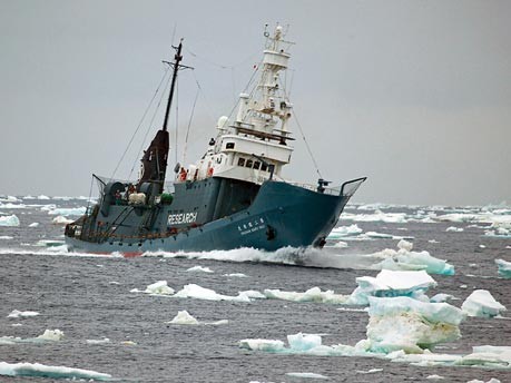 Japanische Walfänger;Reuters