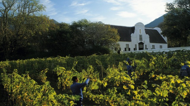 Weinberge mit Tradition: Groot Constantia liegt in Kapstadt