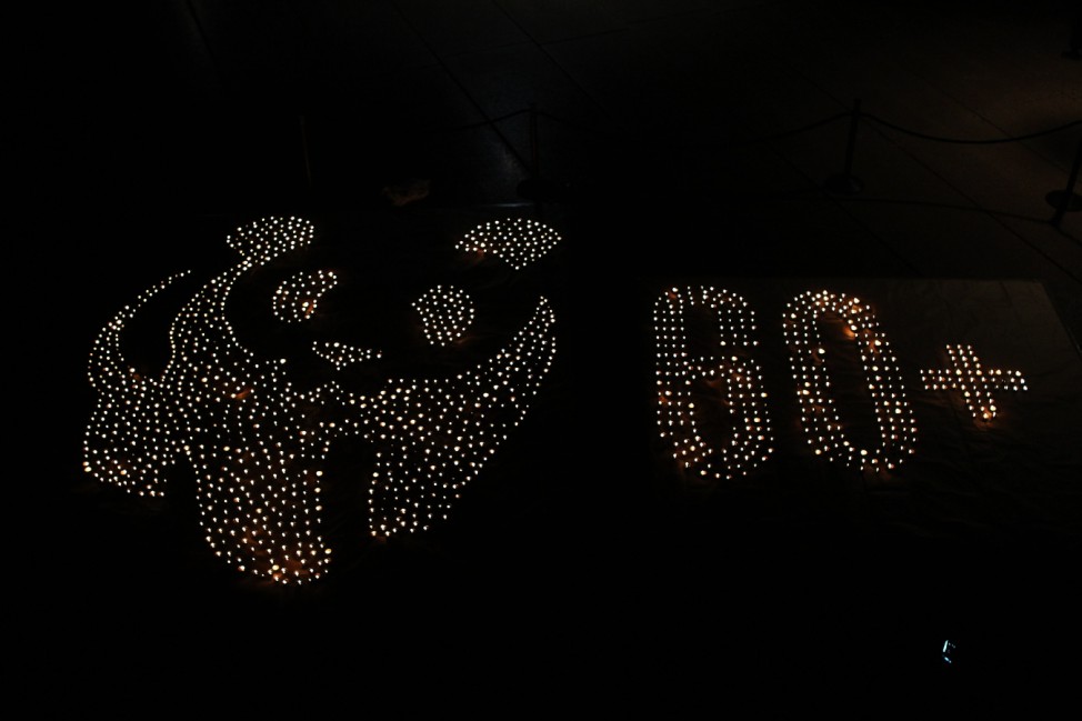 Sydney Dims For Earth Hour 2012