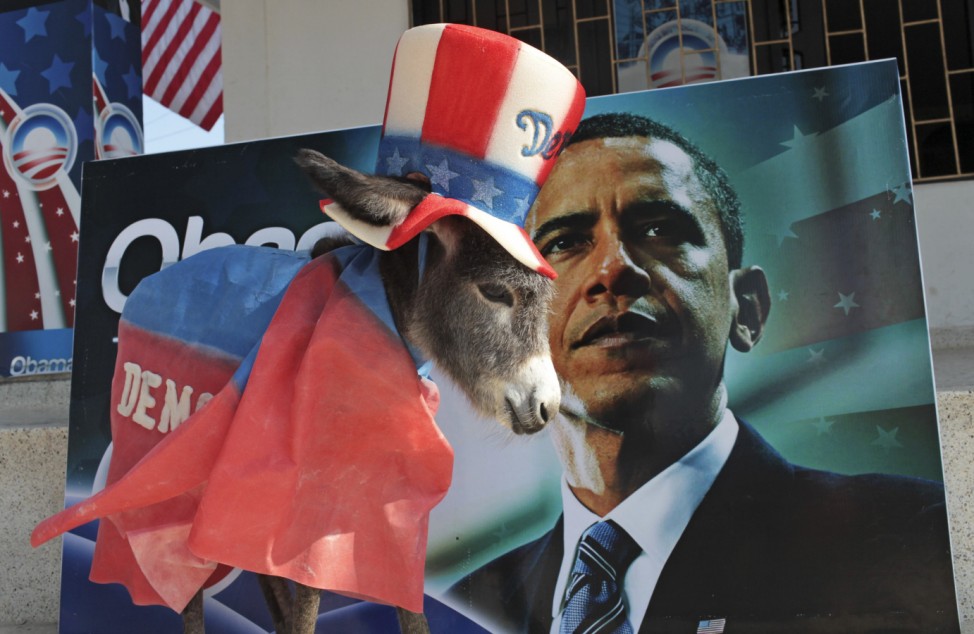A baby donkey named Demo stands dressed as the mascot of the U.S. Democratic Party in Turbaco