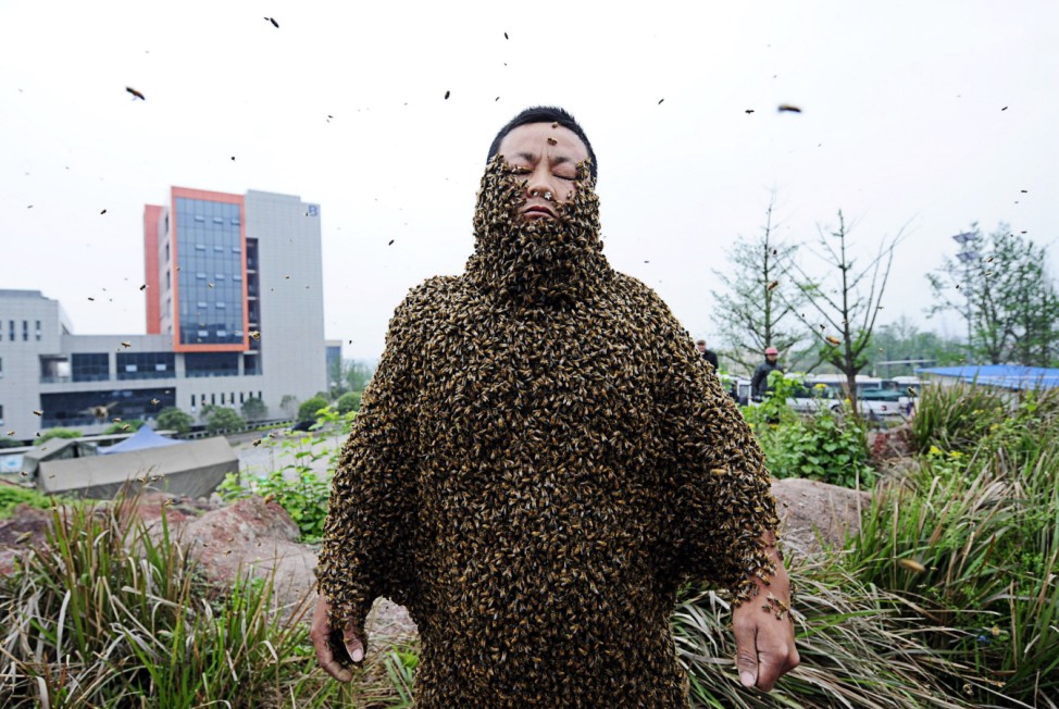 Beekeeper She Ping is covered with bees during a challenge to break the world record in Chongqing Municipality