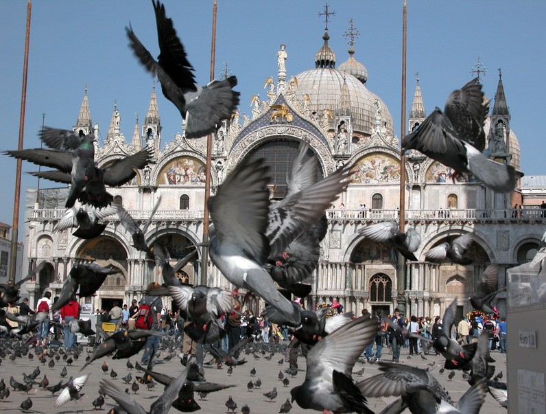 Italien Sehenswürdigkeiten Verbot Venedig Markusplatz