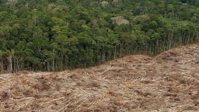 Brasiliens Präsidentin blockiert Teile des Waldgesetzes