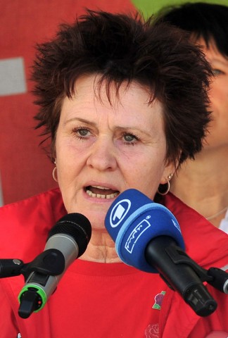 Die Linke - Sabine Zimmermann