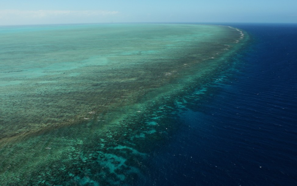 Great Barrier Reef Threatened With Extinction 'Within 20 Years'