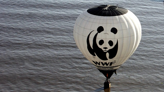 Gerichtsurteil zu "Schwarzbuch WWF" erwartet: Symbol für den Umweltschutz? Ein Heißluftballon des WWF über dem Amazonas im Norden Brasiliens.