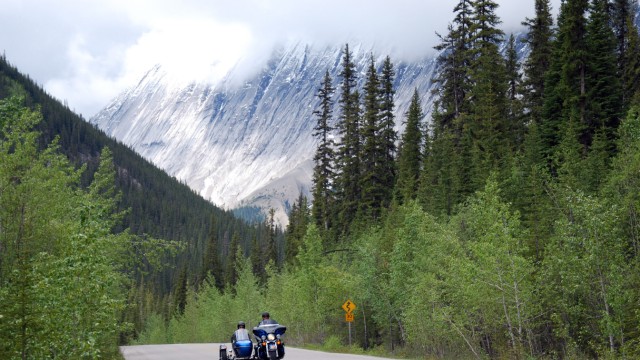 Kanada Nationalpark Rocky Mountains Schwarzbären Motorrad