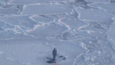 Kanada: Luftaufnahme des Jugendlichen im Eis: Unter Eisbären überlebt.