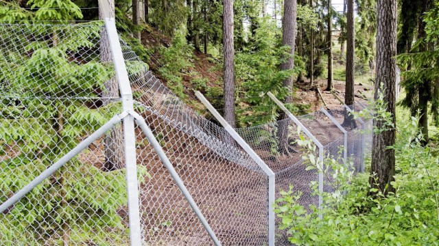 Wolfsrudel tötet Wärterin in schwedischem Tierpark