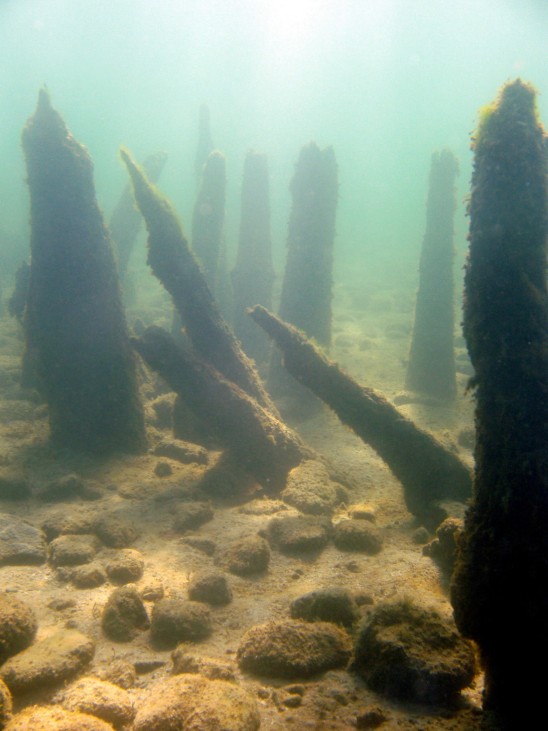 Überreste einer Pfahlbausiedlung im Bodensee