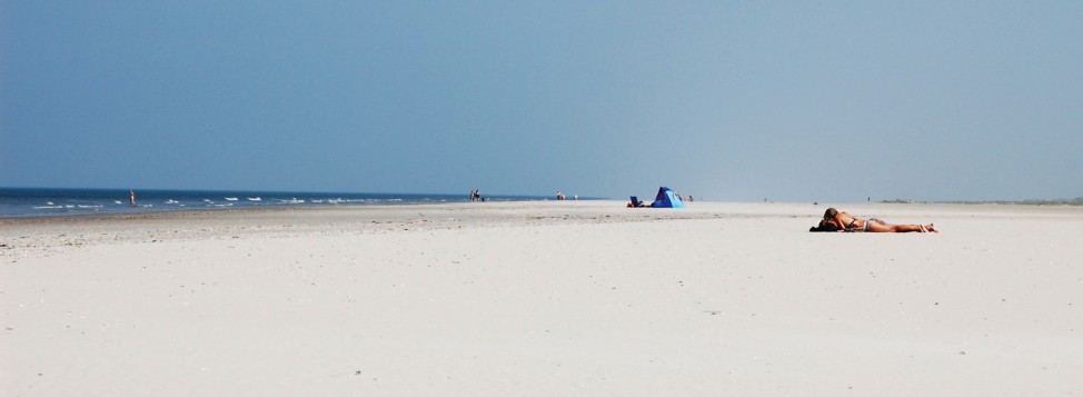Die Insel der Muschelsucher - Strandurlaub auf Schiermonnikoog