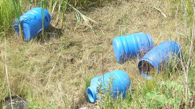 Plastic barrels with human foetus were found in the wood