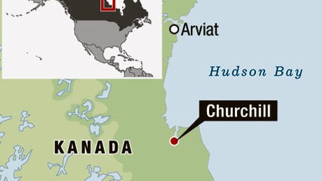 Hudson Bay: Churchill liegt mitten im Eisbärenland.
