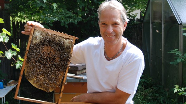 Stadtimker in Laim: Imker Andreas Pixis mit einer Bienenwabe im Garten seines Elternhauses in München-Laim.