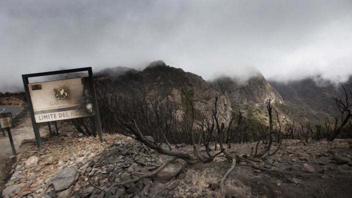 Feuer auf den Kanarischen Inseln: Im August 2012 fraß sich ein Waldbrand durch den Nationalpark Garajonay auf La Gomera.