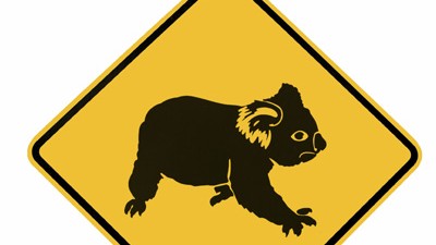 Ubuntu 9.10: Vorsicht, Bären: Ubuntu 9.10 erscheint unter dem Namen "Karmic Koala"