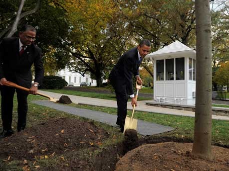 Obama pflanzt neuen Gedächtnisbaum am Weißen Haus;dpa