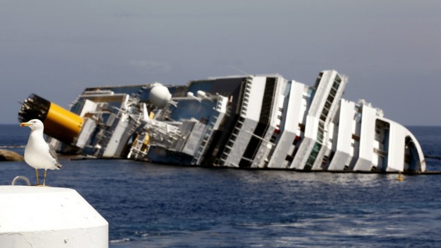 A seagull in front of the wreckage of capsized cruise liner Costa Concordia near the harbour of Giglio Porto