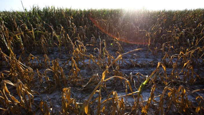 Drought Afflicting Much of the US Midwest