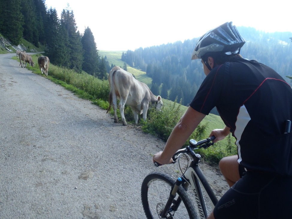 Mountainbiketour Amden Kanton St. Gallen Schweiz