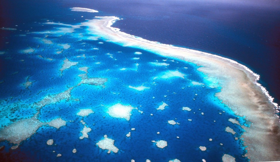 Dramatisches Korallensterben am Great Barrier Reef