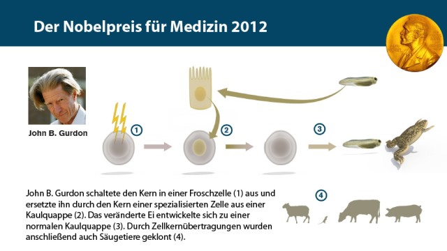 Nobelpreis für Medizin 2012