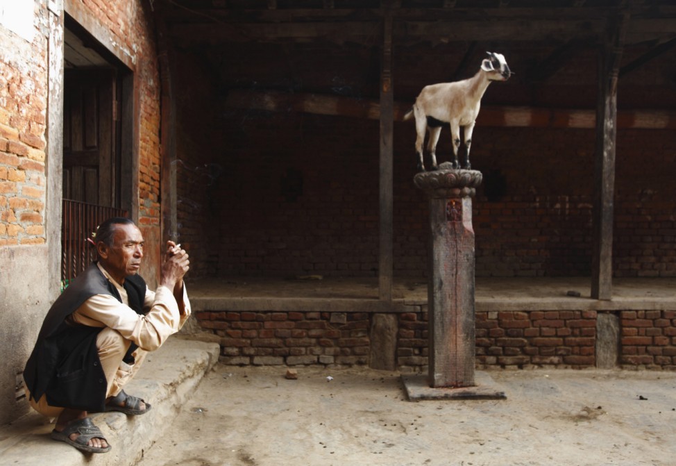 A man smokes a cigarette near a goat standing on a pole of a temple at Khokana in Lalitpur