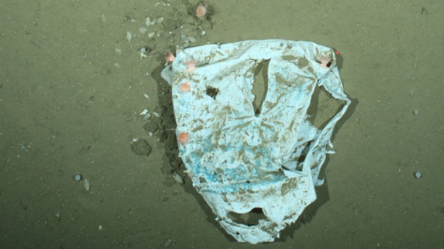 Plastikmüll in der arktische Tiefsee nimmt stark zu