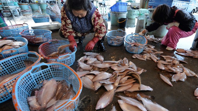 Ein Fischmarkt in Japan