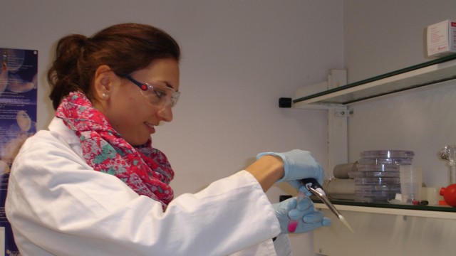 TU-Studenten in Weihenstephan: Studentin Jara Obermann experimentiert im Labor in Weihenstephan.