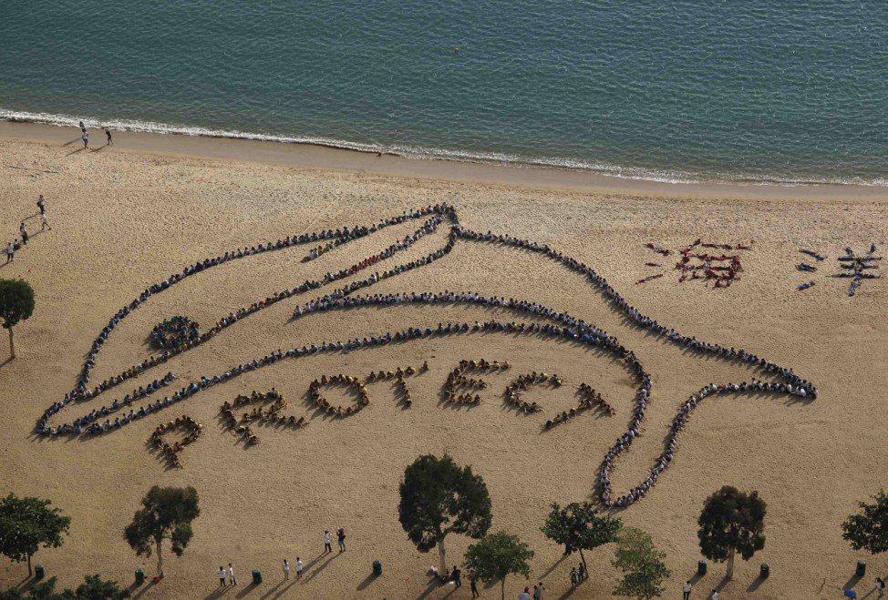 About 800 school children and teachers from 14 schools form the shape of a Chinese white dolphin at Repulse Bay in Hong Kong